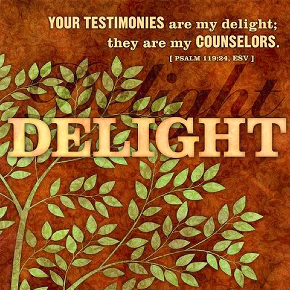 NWT Stretched Canvas Print Your Testimonies Are